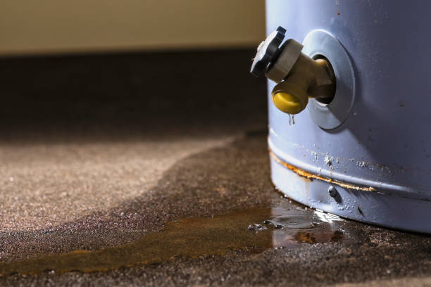Best Residential water damage restoration  in Shelby, OH