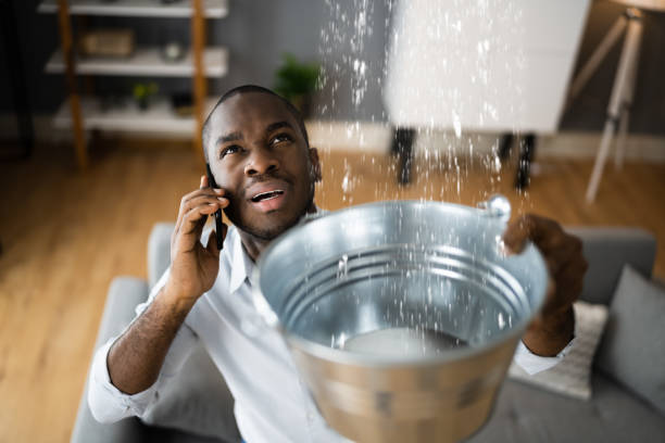 Best Flood restoration services  in Shelby, OH