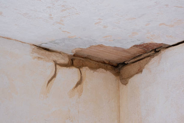 Water damage restoration experts in Shelby, OH