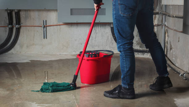 Best Residential water damage restoration  in Shelby, OH