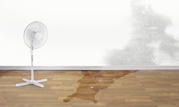 Best 24-hour water damage restoration  in Shelby, OH