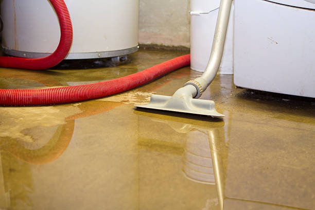 Best Sewage cleanup and water damage restoration  in Shelby, OH