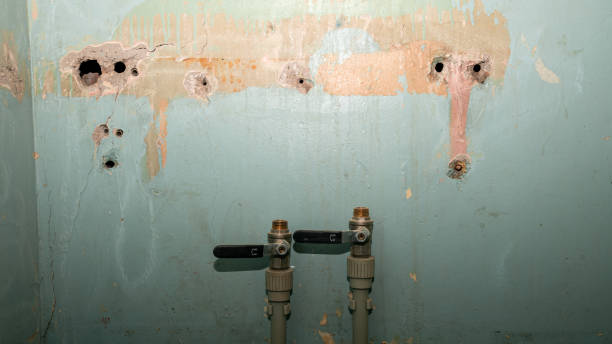 Best Professional water damage repair  in Shelby, OH