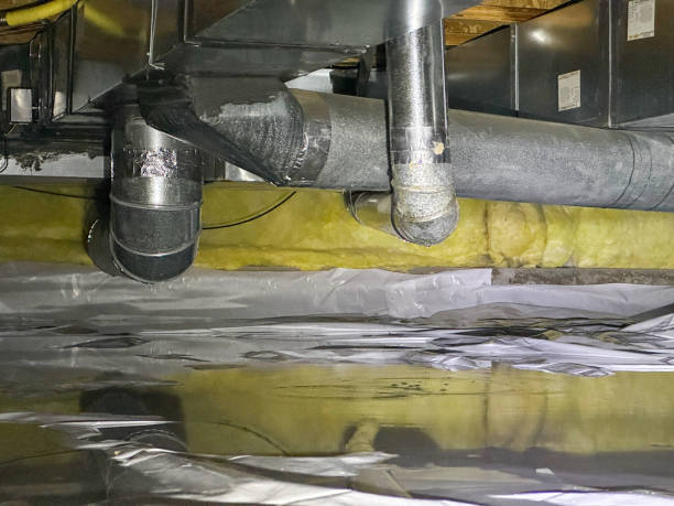 Best Water damage restoration cost  in Shelby, OH