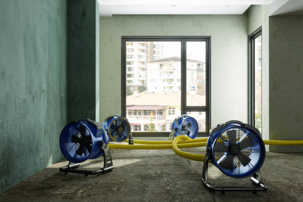 Best Carpet water damage restoration  in Shelby, OH