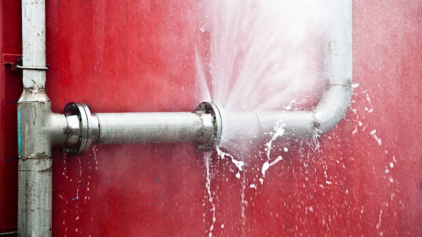 Best Water damage cleanup near me  in Shelby, OH
